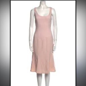 Ralph Lauren Black Label Fit & flare silhouette wool blush color size 10